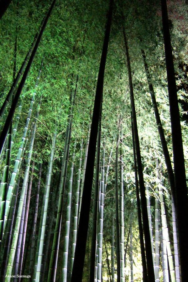 Kyoto Home Higashikujo Экстерьер фото