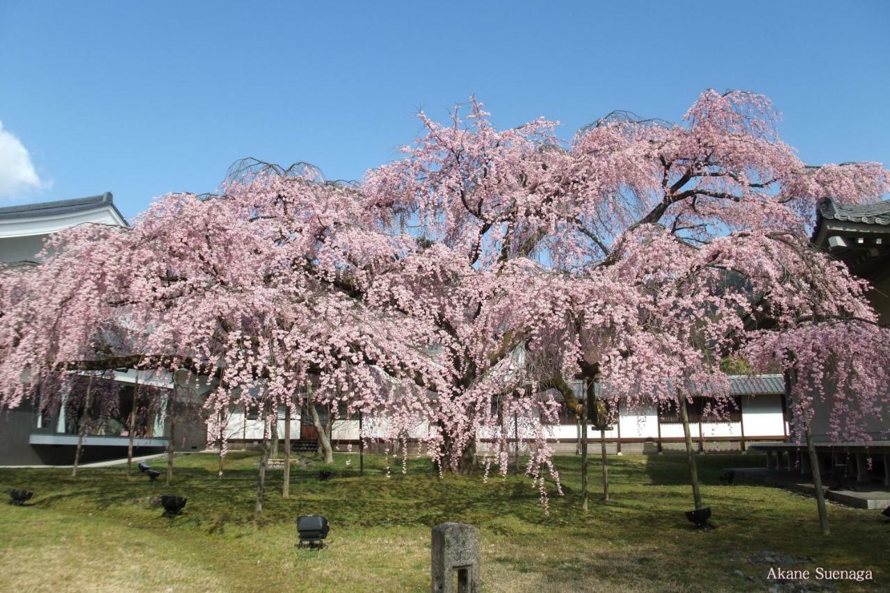 Kyoto Home Higashikujo Экстерьер фото